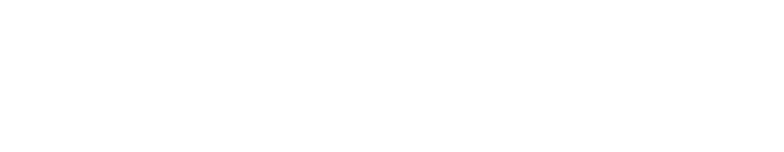 SCN Logo Mark
